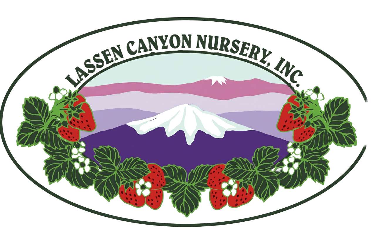 Logo Lassen Canyon Nursery
