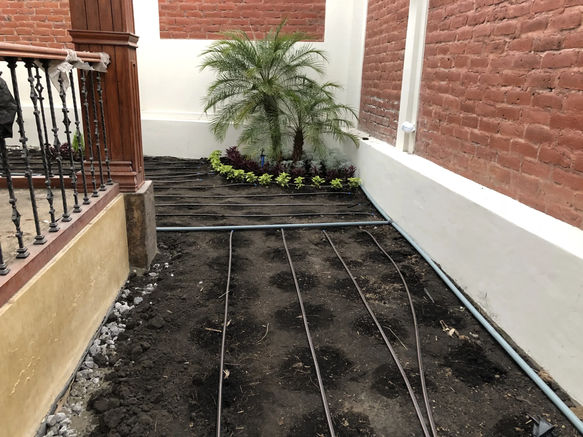 Riego automatizado para áreas verdes